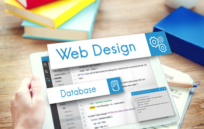 Web Design Program